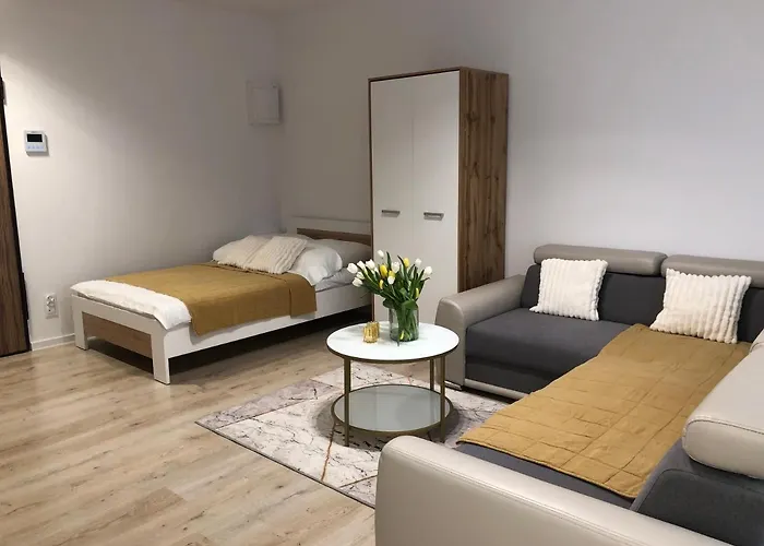 Apartament Rzeszow Centrum